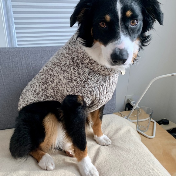 Wool Dog Sweater - Picture 2 of 5